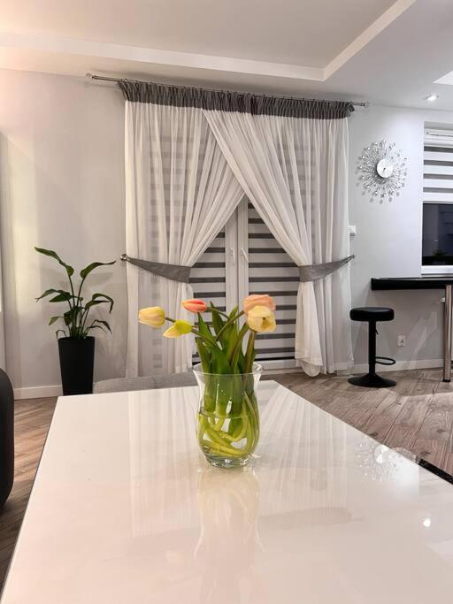 Apartament Zamojski Mlynska Zamość Esterno foto