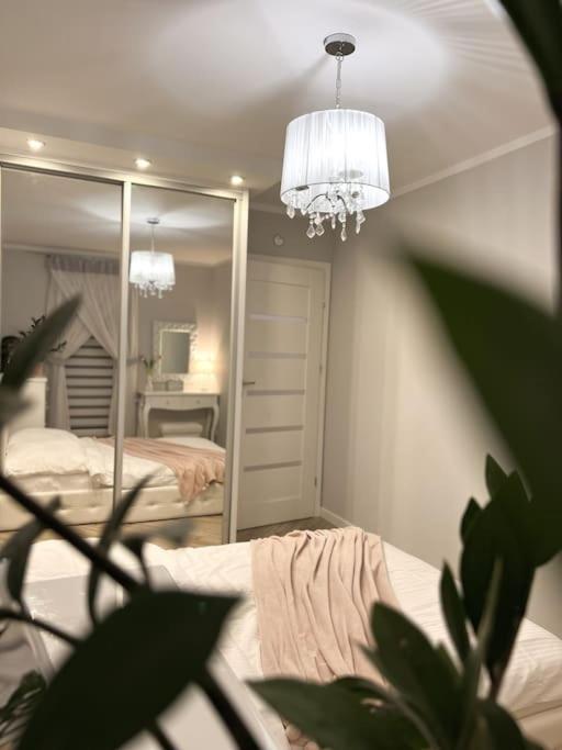 Apartament Zamojski Mlynska Zamość Esterno foto
