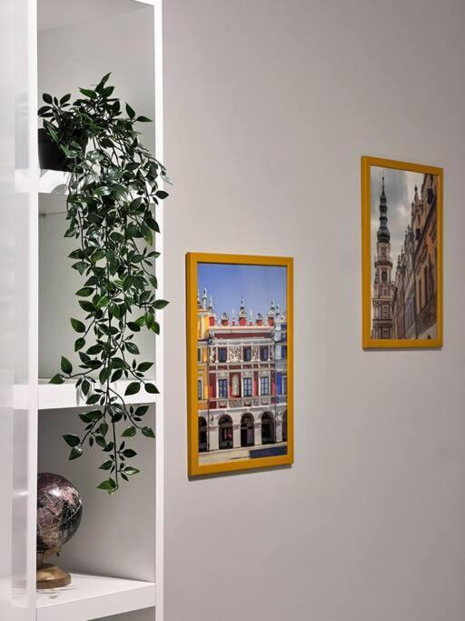Apartament Zamojski Mlynska Zamość Esterno foto