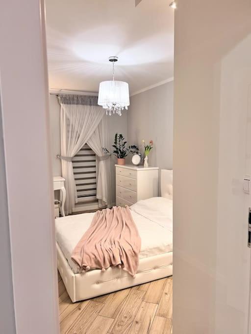 Apartament Zamojski Mlynska Zamość Esterno foto
